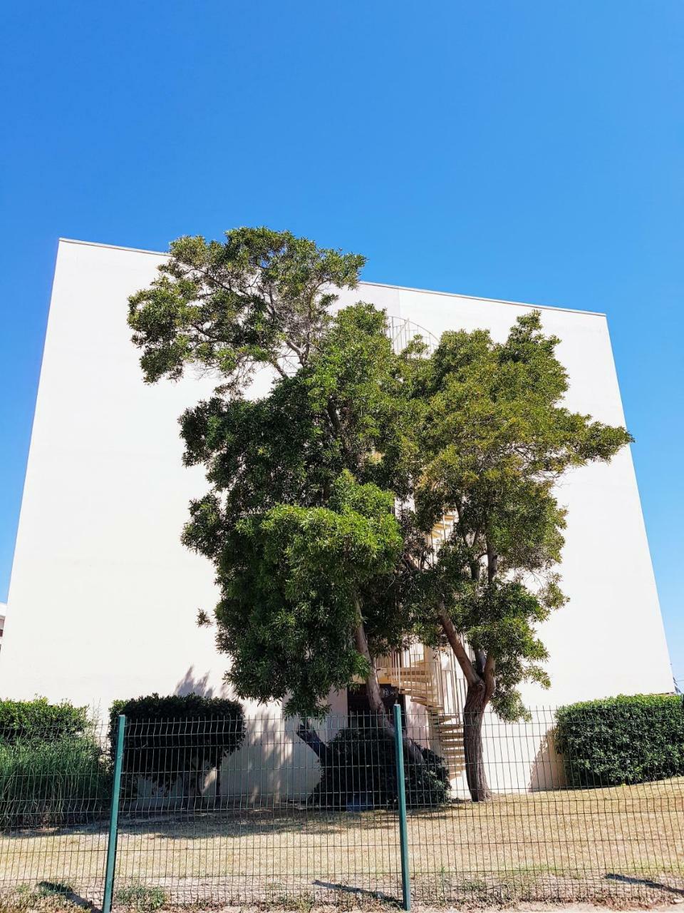 Studio Calme Avec Parking Et Ascenseur -304- Canet-en-Roussillon Bagian luar foto