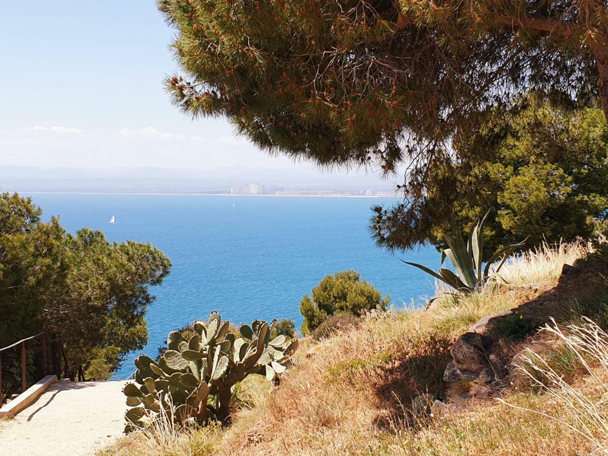 Studio Calme Avec Parking Et Ascenseur -304- Canet-en-Roussillon Bagian luar foto